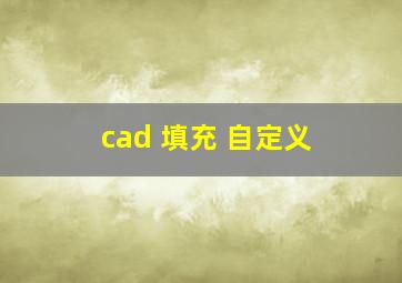 cad 填充 自定义